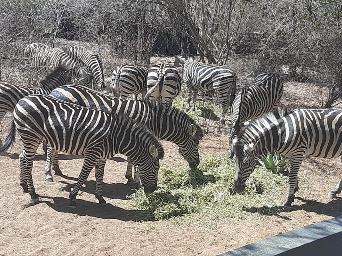 African Bush Escape Marloth Park Exterior photo