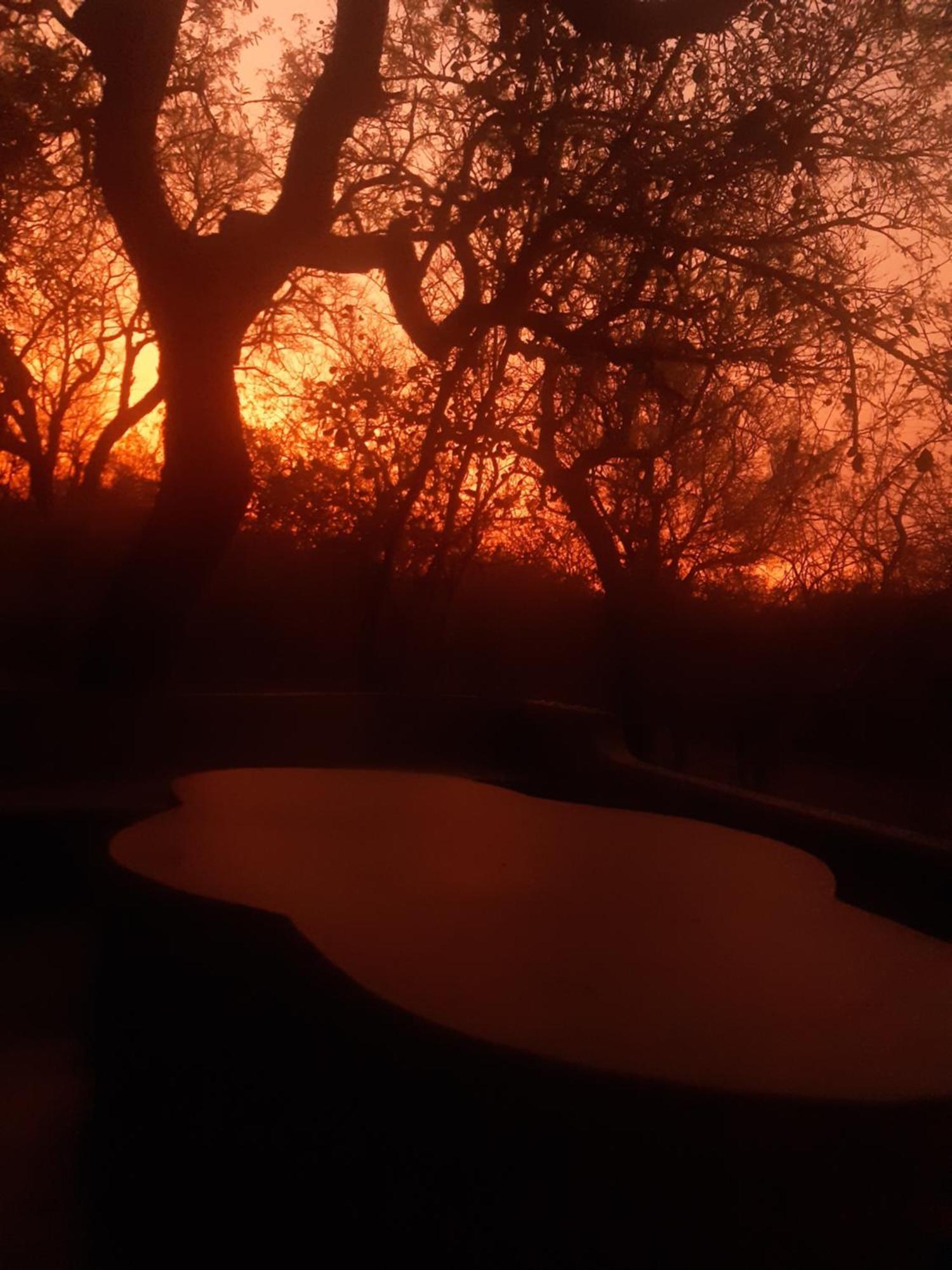 African Bush Escape Marloth Park Exterior photo