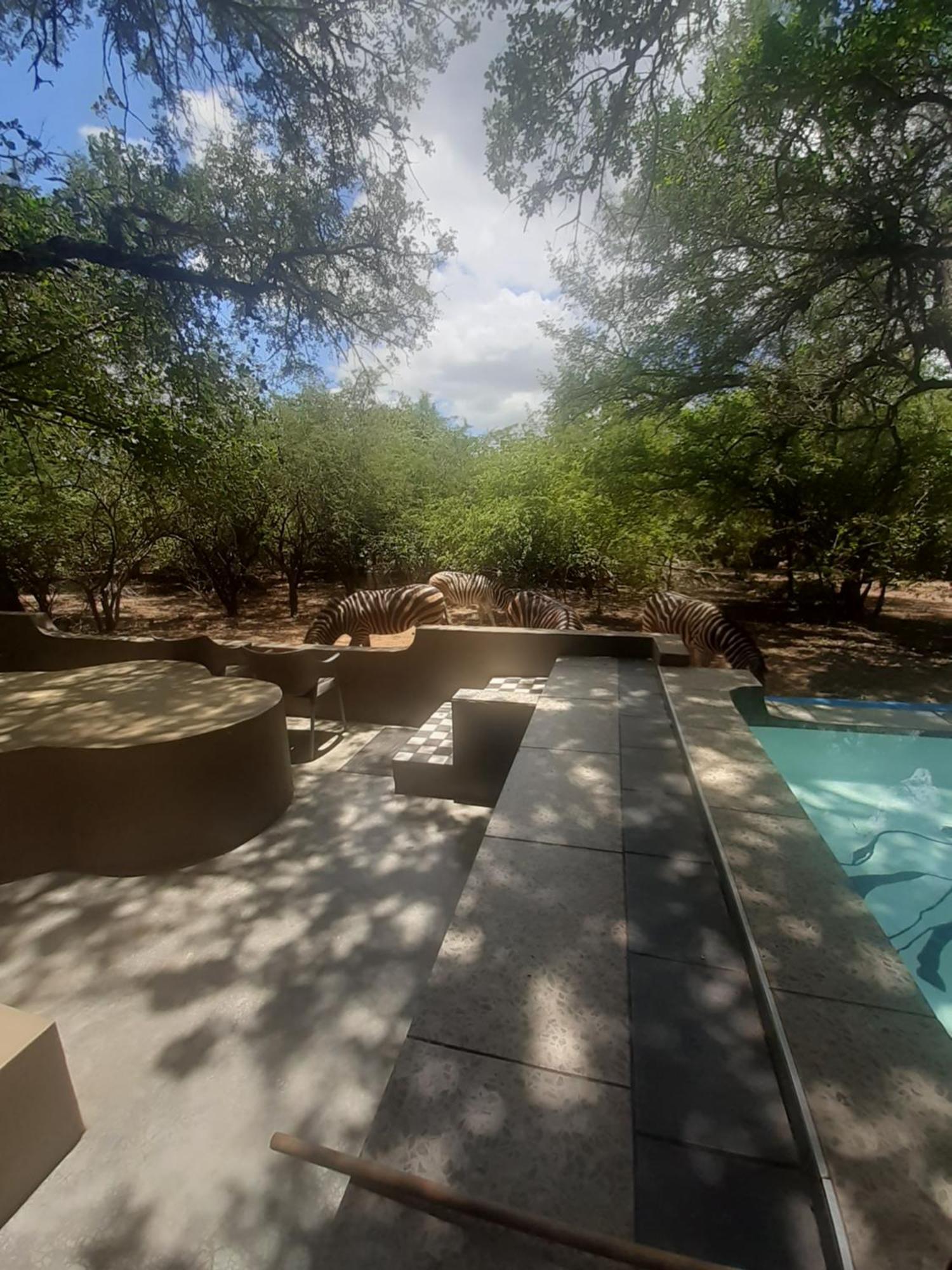 African Bush Escape Marloth Park Exterior photo