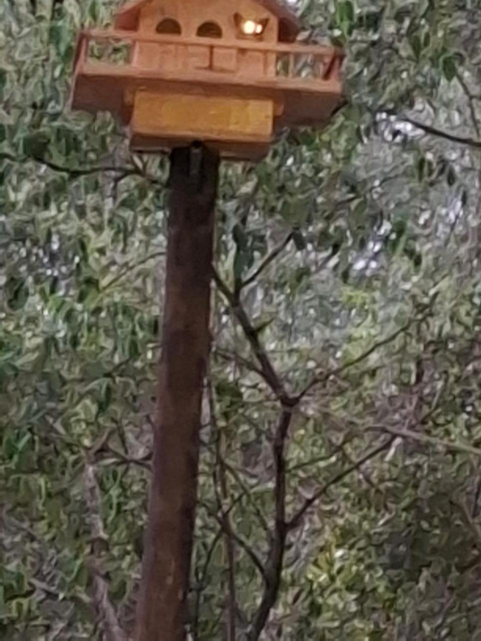 African Bush Escape Marloth Park Exterior photo