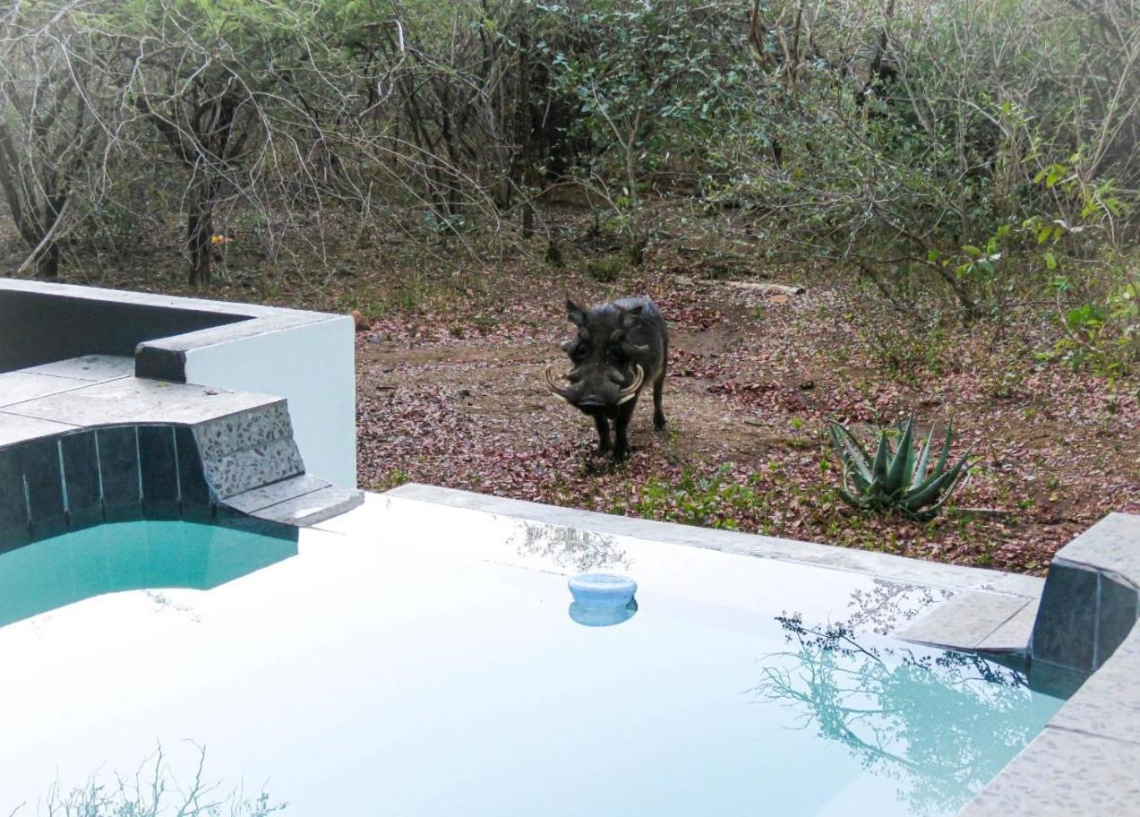 African Bush Escape Marloth Park Exterior photo